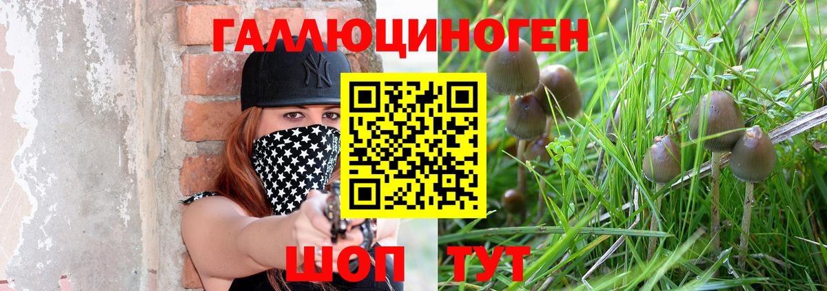 Мценск  Галлюциногенные грибы ЛСД  Вход с VPN 
